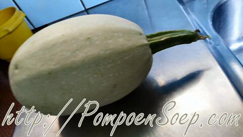 Spaghettipompoen