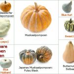 11 Eetbare soorten pompoen